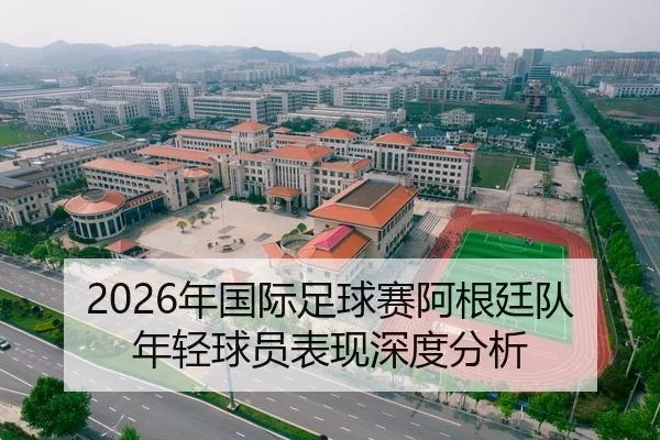 2026年国际足球赛阿根廷队年轻球员表现深度分析