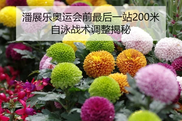 潘展乐奥运会前最后一站200米自泳战术调整揭秘