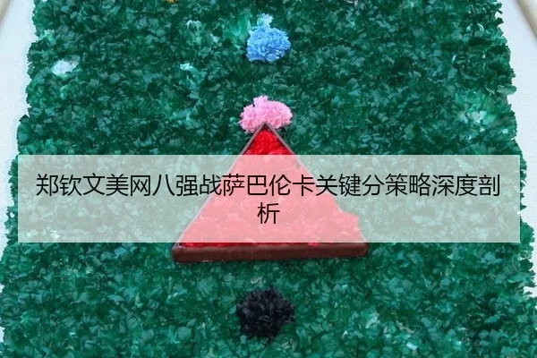 郑钦文美网八强战萨巴伦卡关键分策略深度剖析