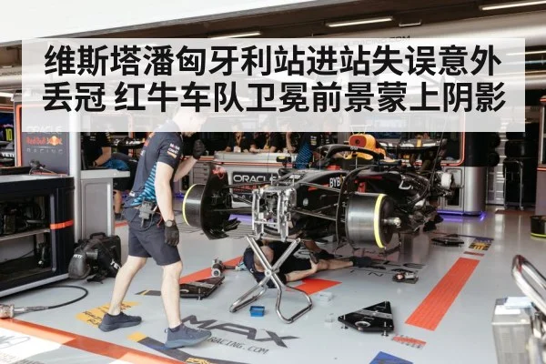 Red Bull racing team